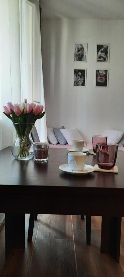 Apartamento Stan Na Dan Dunja 2 Vrsac Exterior foto